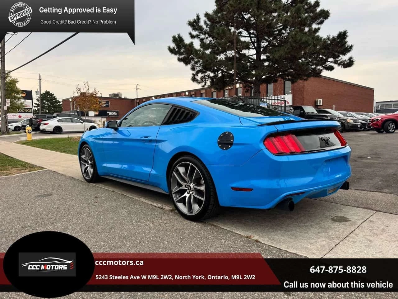 Ford Mustang * 2.3 EcoBoost  Fastback EcoBoost TWO SET OF TIRE* | Mobile.bg � ����������� 6