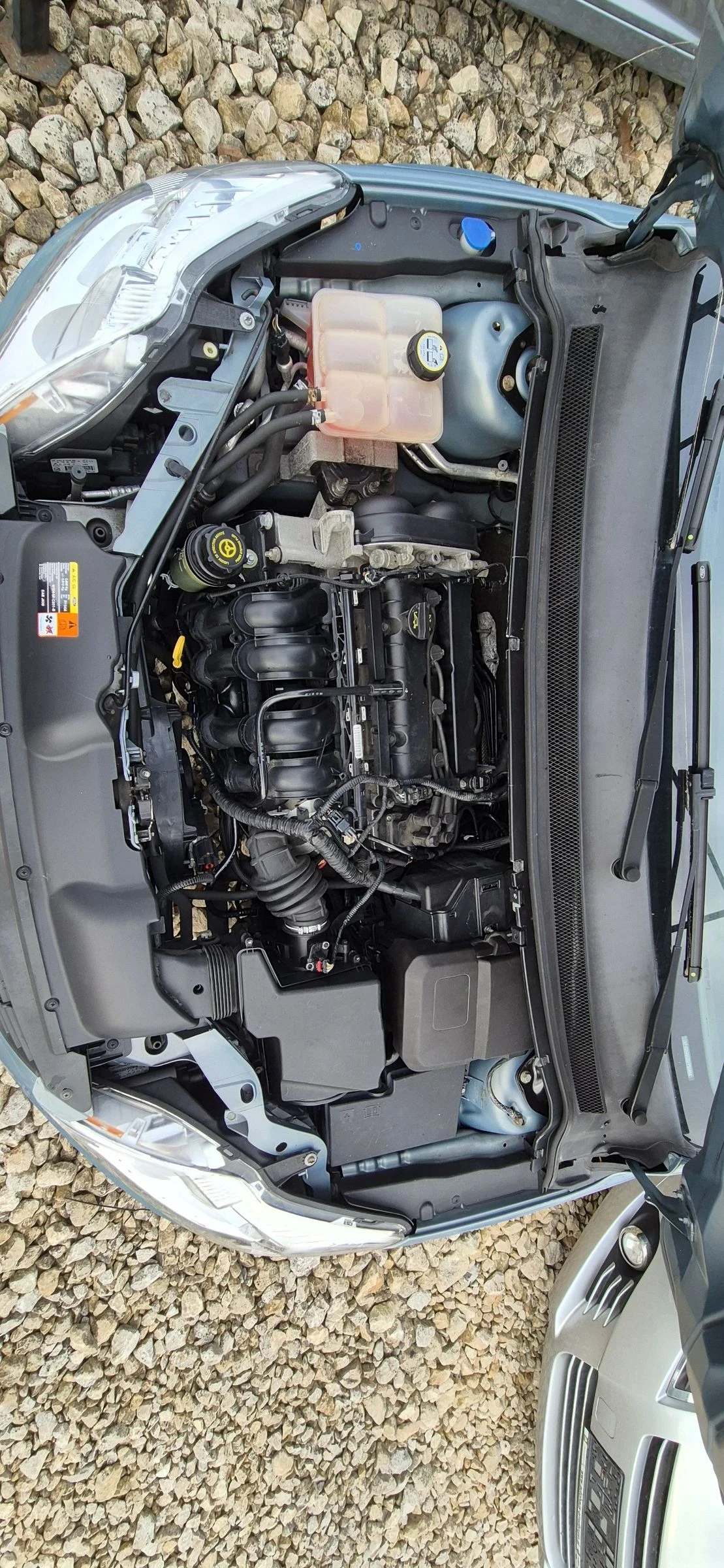 Ford Focus 1.6, снимка 15 - Автомобили и джипове - 53952692