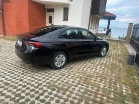 Skoda Octavia - 22500 € / 44006.17 лв. - 66852354 2