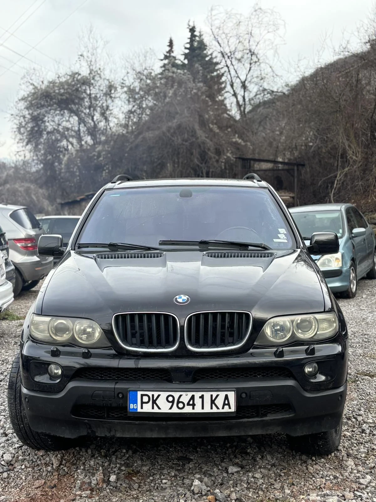 BMW X5, снимка 1