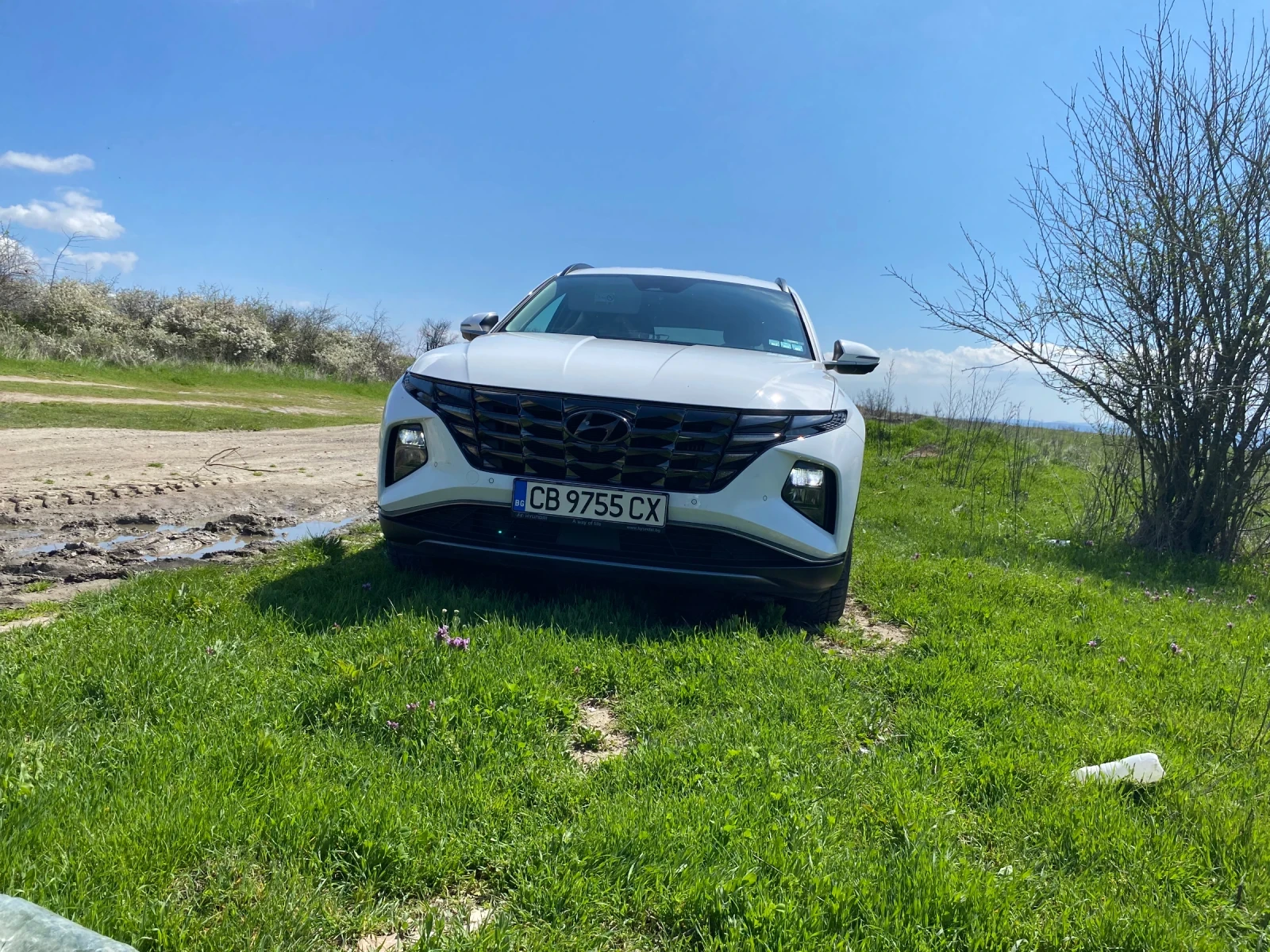 Hyundai Tucson 1.6 HEV, снимка 2 - Автомобили и джипове - 54221752