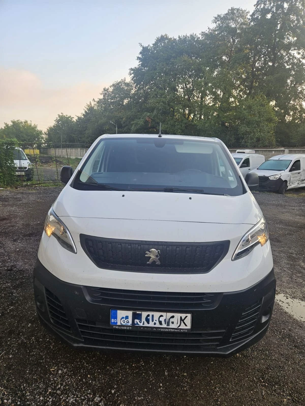 Peugeot Expert ������� | Mobile.bg � ����������� 4