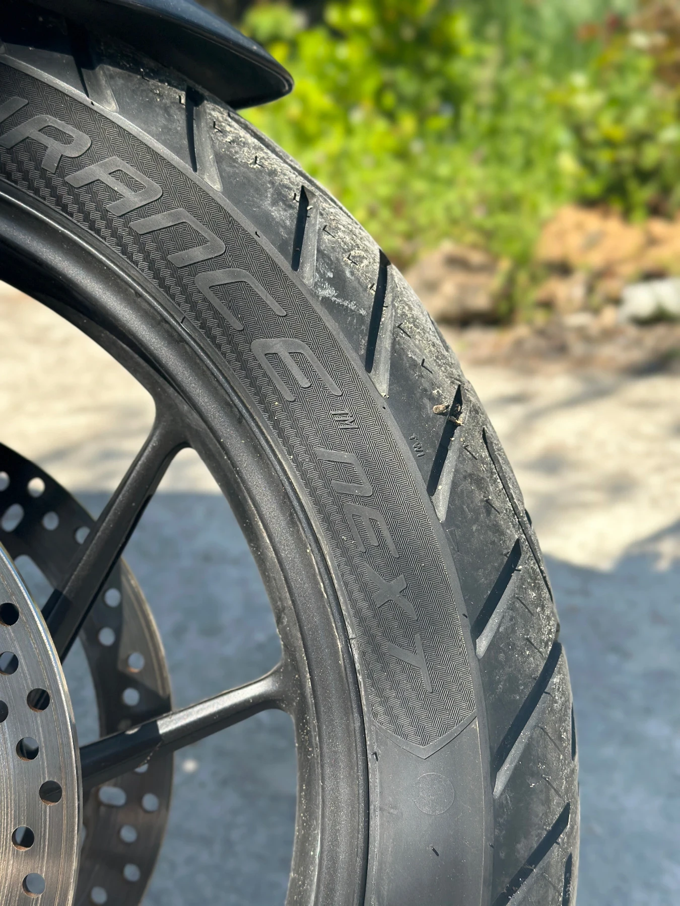 Triumph Tiger  - изображение 4