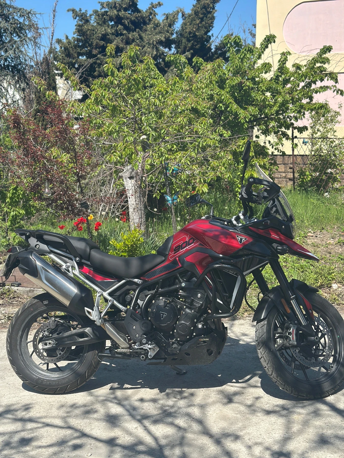 Triumph Tiger  - изображение 2