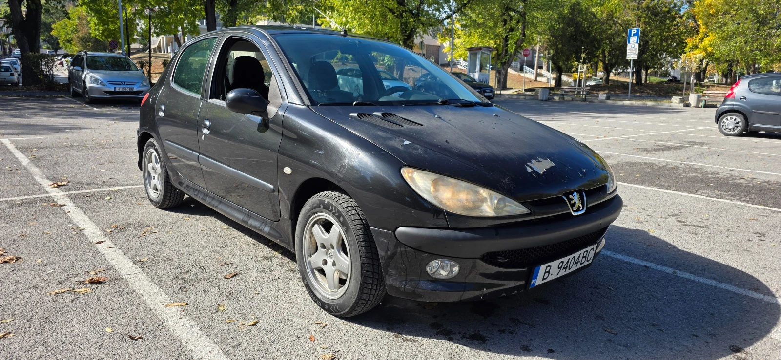 Peugeot 206 1.4 HDI, снимка 1