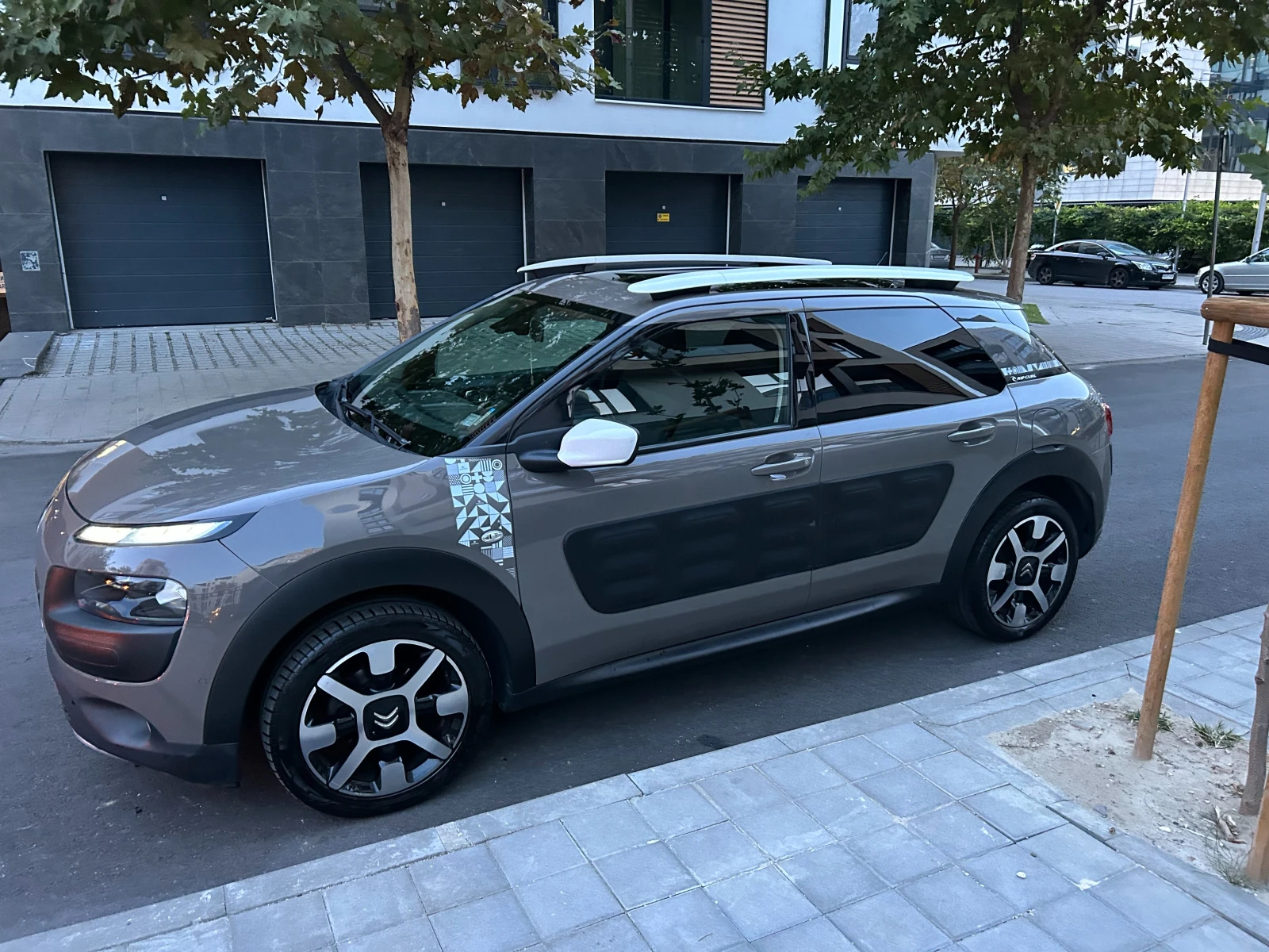 Citroen C4 Cactus Rip Grip - изображение 9