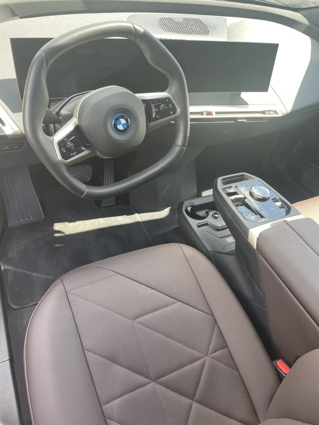 BMW iX xDrive40 - изображение 6