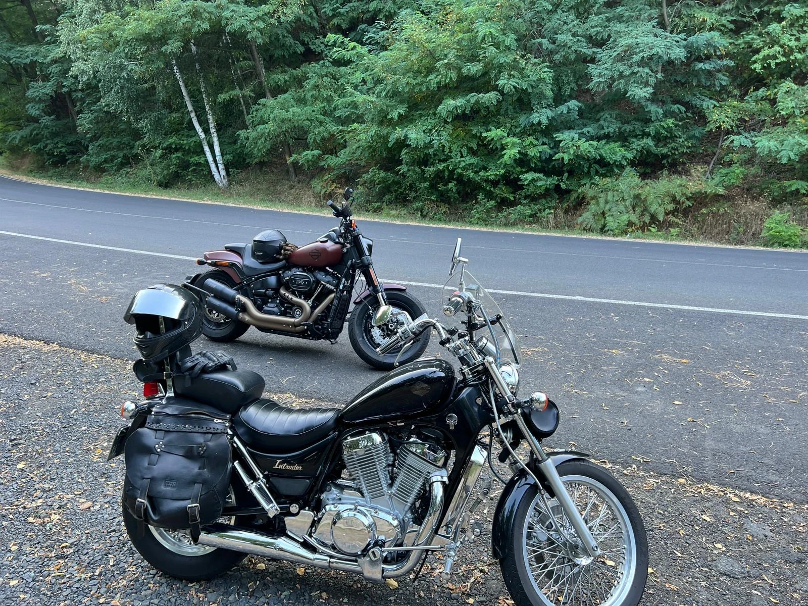 Suzuki Intruder VS - изображение 10