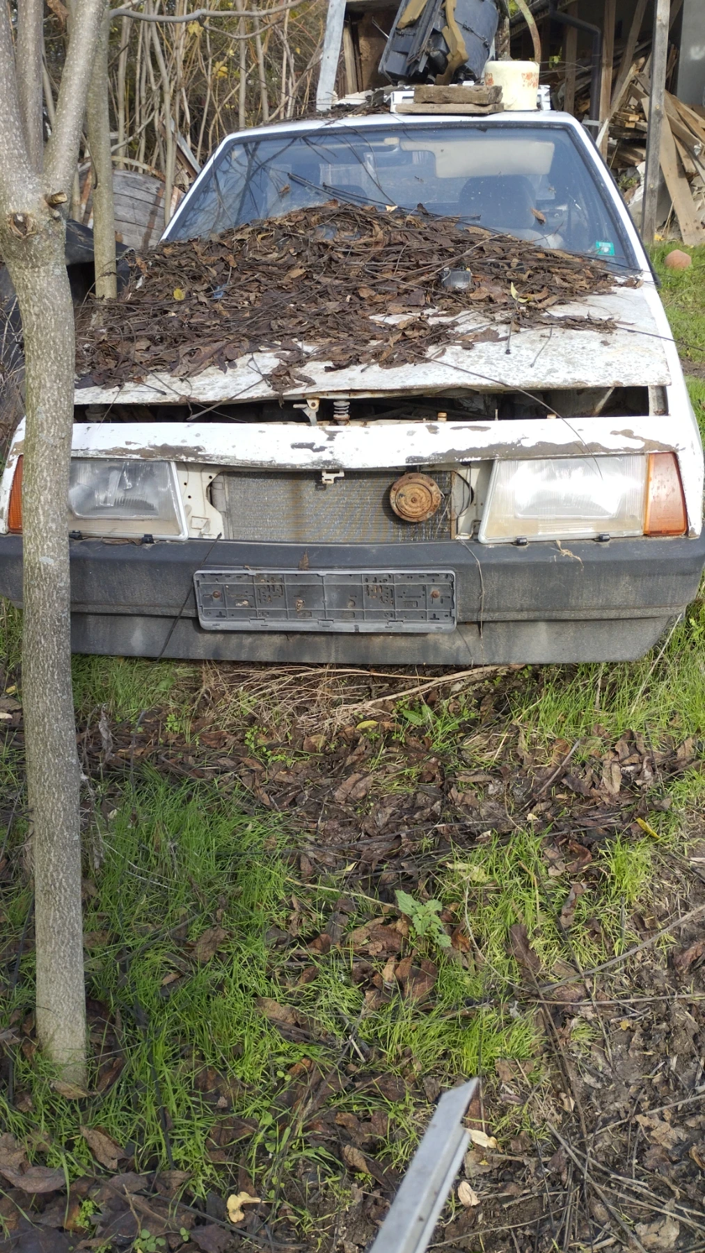   19       | Mobile.bg   9