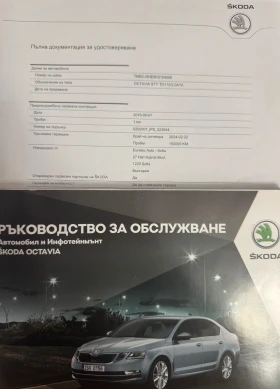 Skoda Octavia 2.0 TDI DSG 4x4, снимка 11