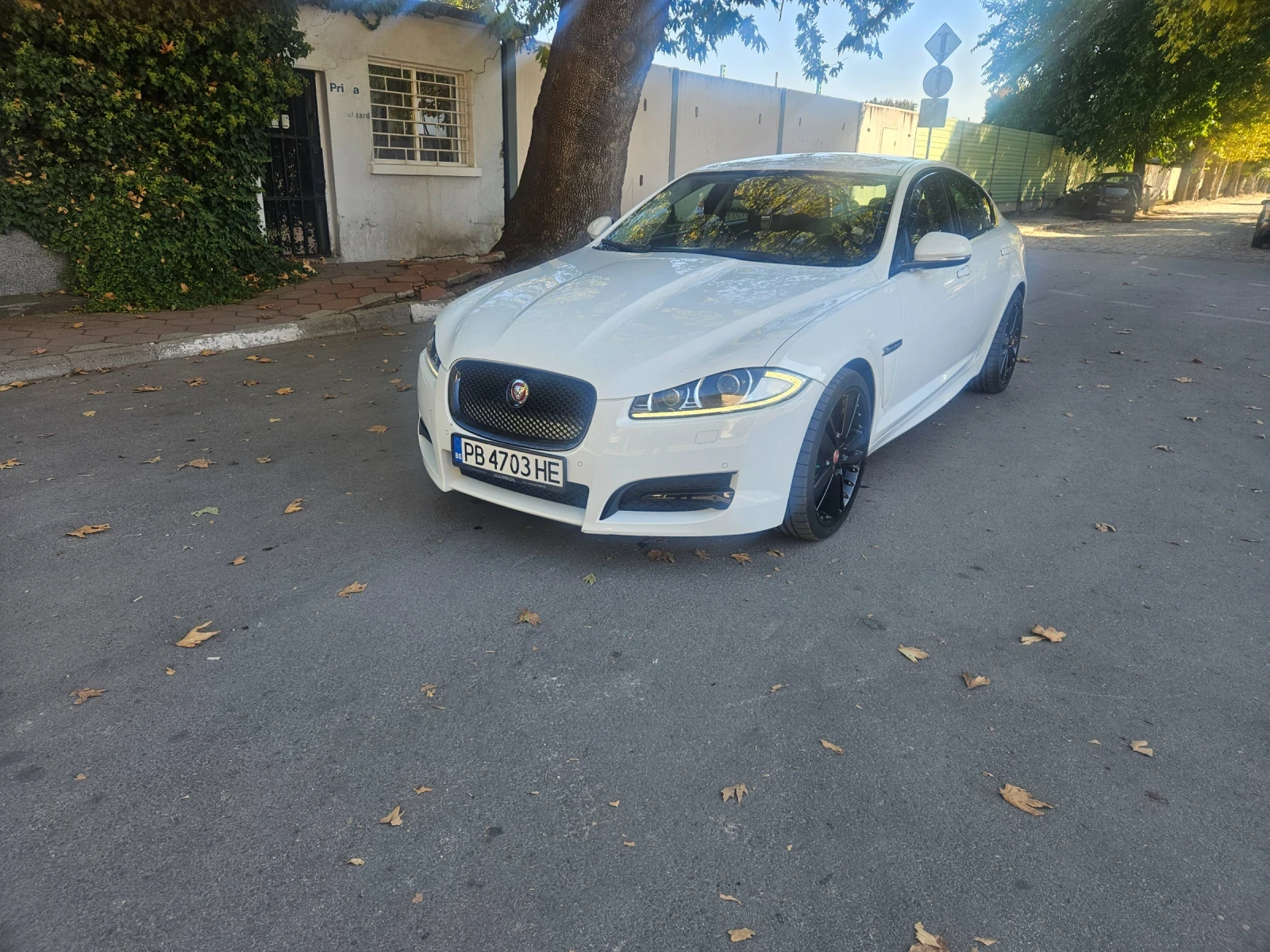 Jaguar Xf