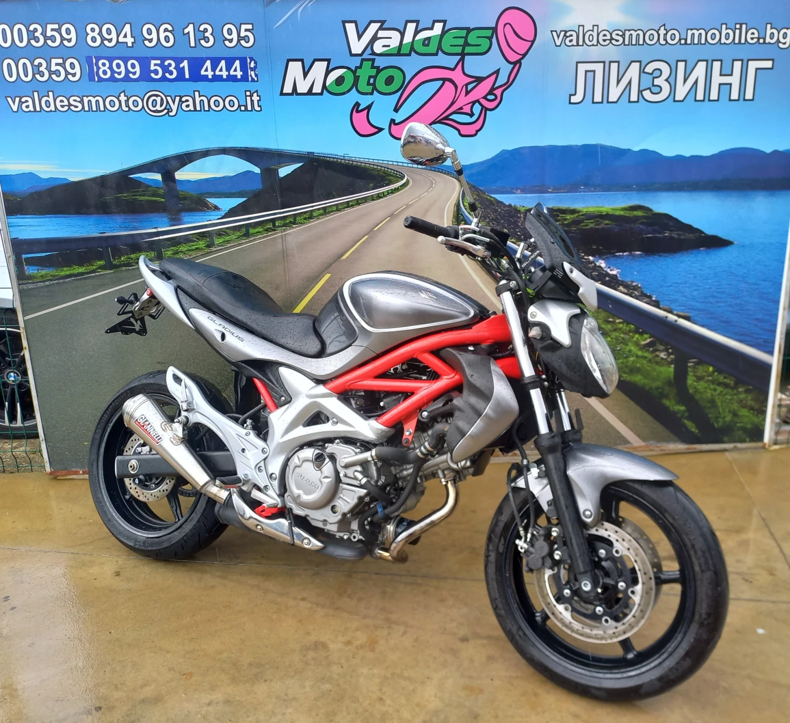 Suzuki Gladius 650 - изображение 4