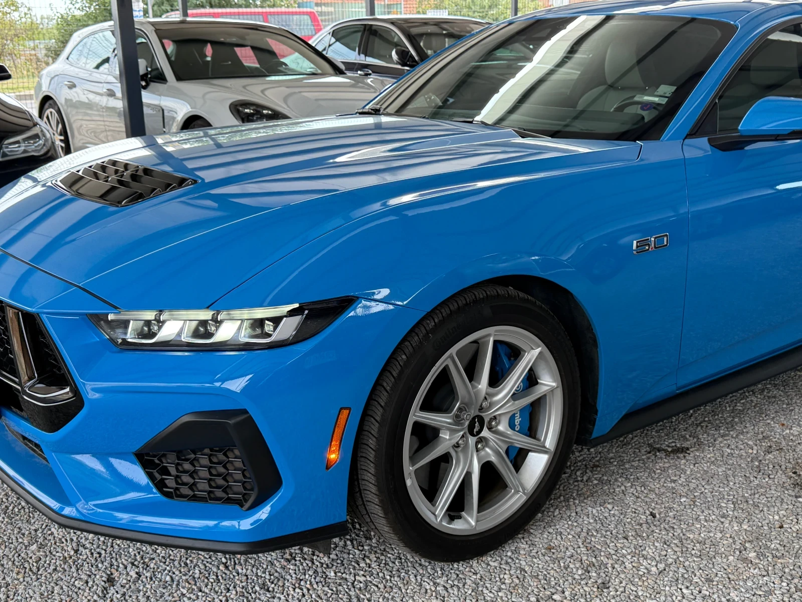 Ford Mustang 5.0i 480KC - изображение 8
