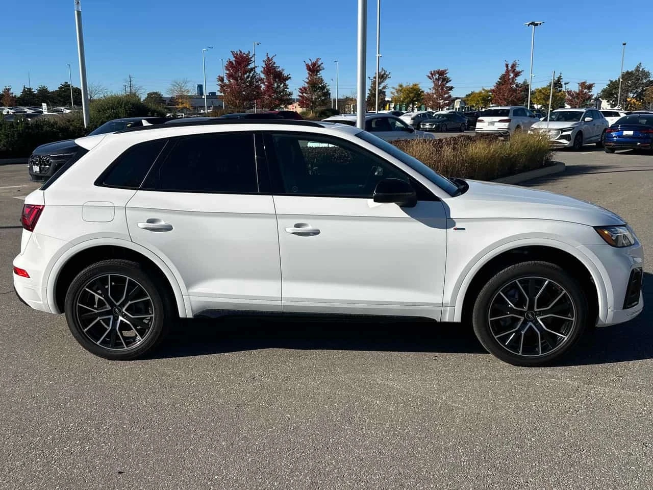 Audi Q5 * Progressiv * CARFAX * ЦЕНА ДО БГ, снимка 4 - Автомобили и джипове - 56554586