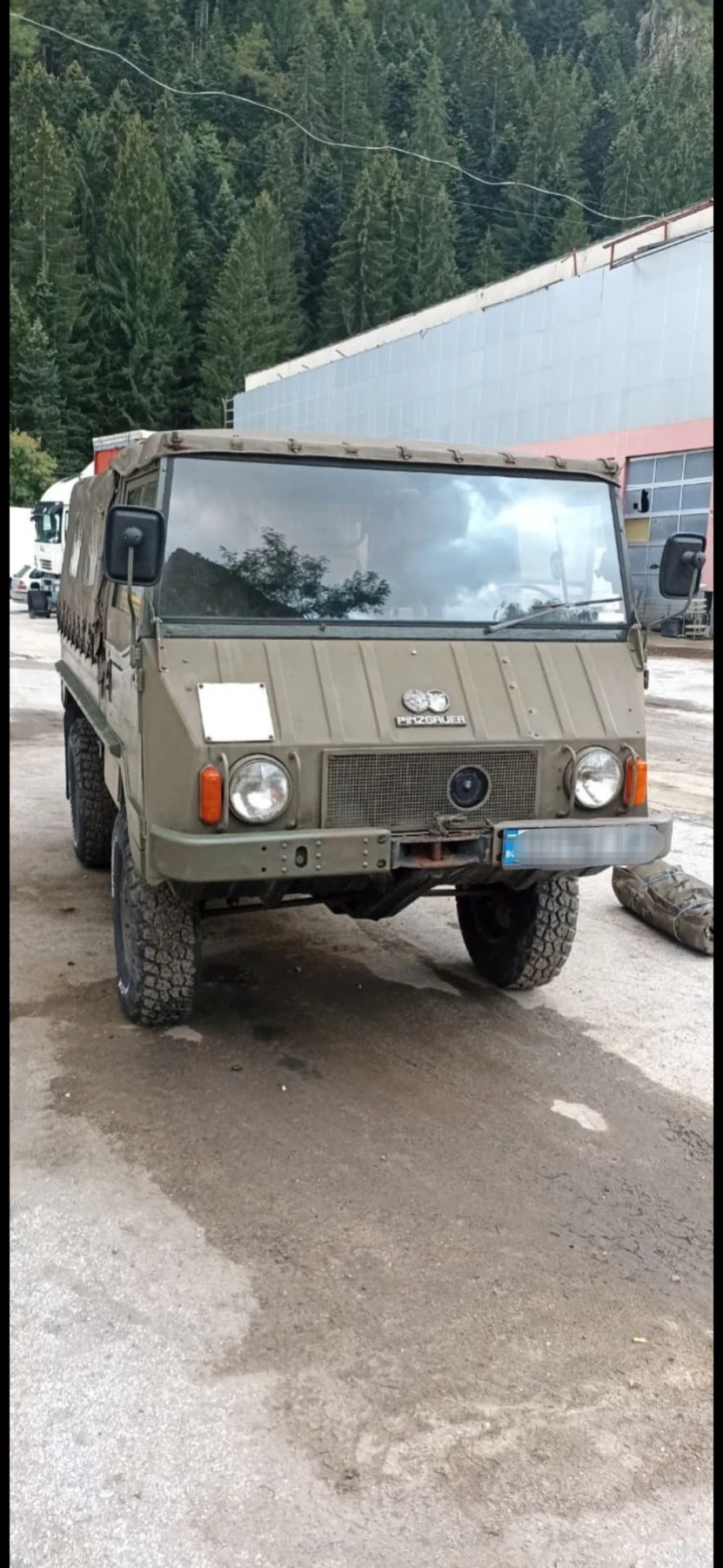 Steyr 1291 4x4, снимка 1