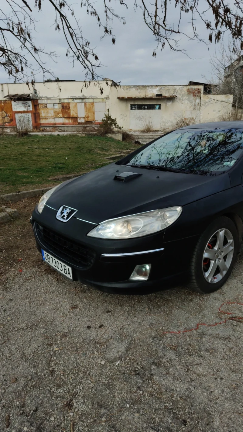 Peugeot 407 Чип, снимка 1 - Автомобили и джипове - 49332975