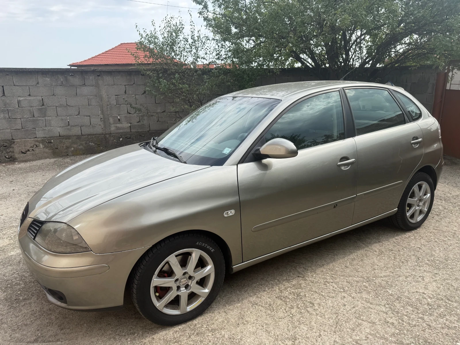 Seat Ibiza 1.9 TDI 101, снимка 3 - Автомобили и джипове - 55906041