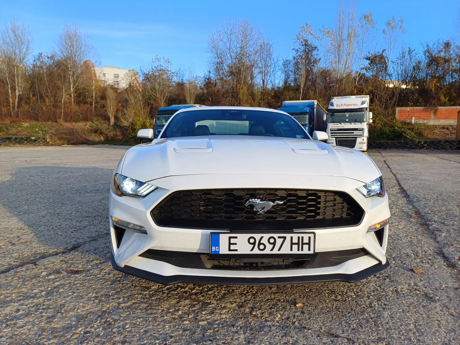 Ford Mustang Ecoboost - изображение 5