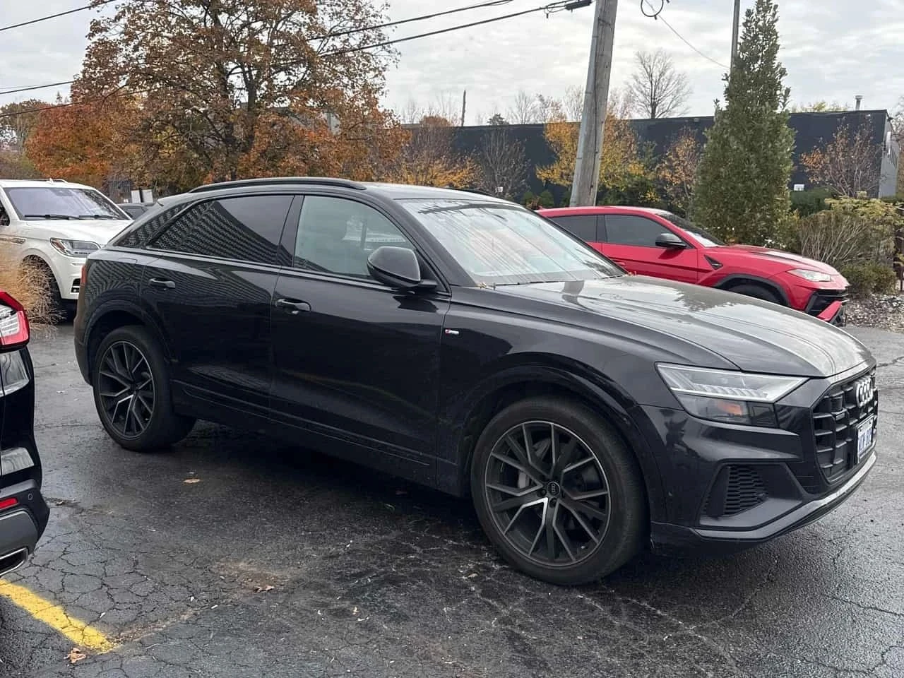 Audi Q8, снимка 3 - Автомобили и джипове - 56716847