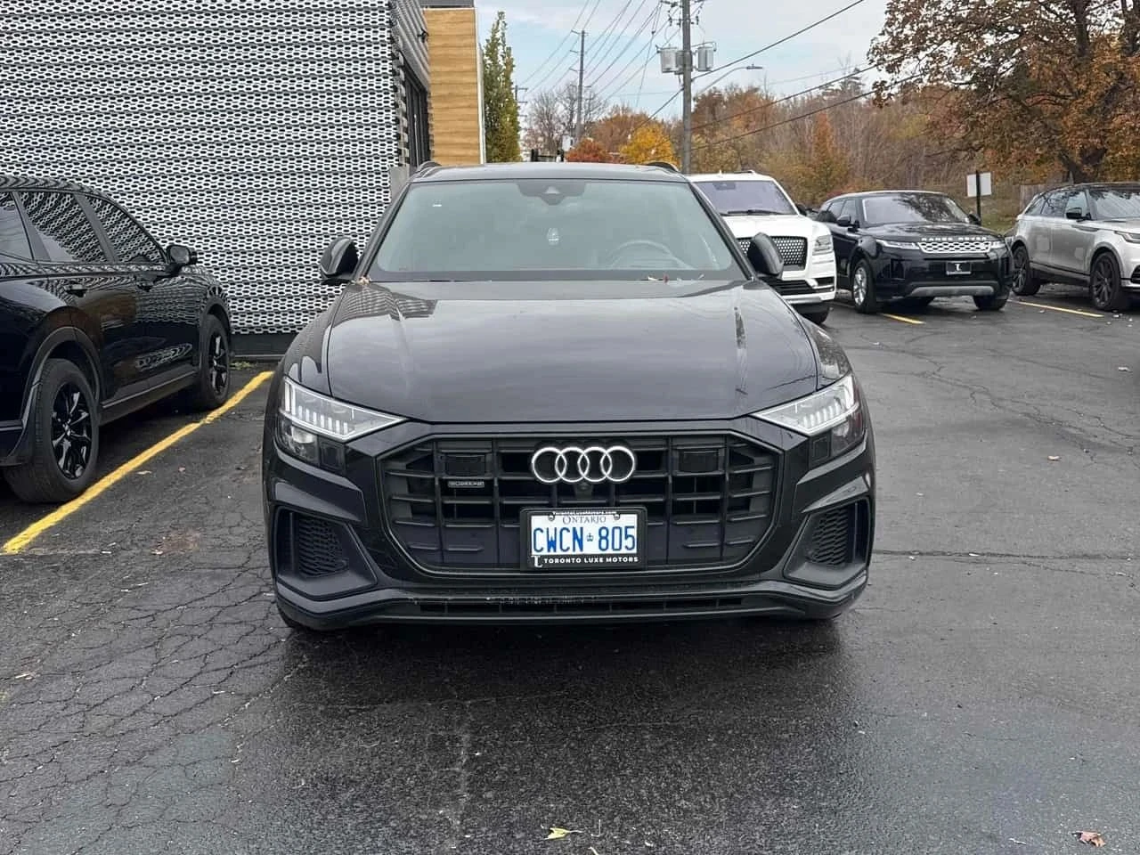 Audi Q8, снимка 6 - Автомобили и джипове - 56716847
