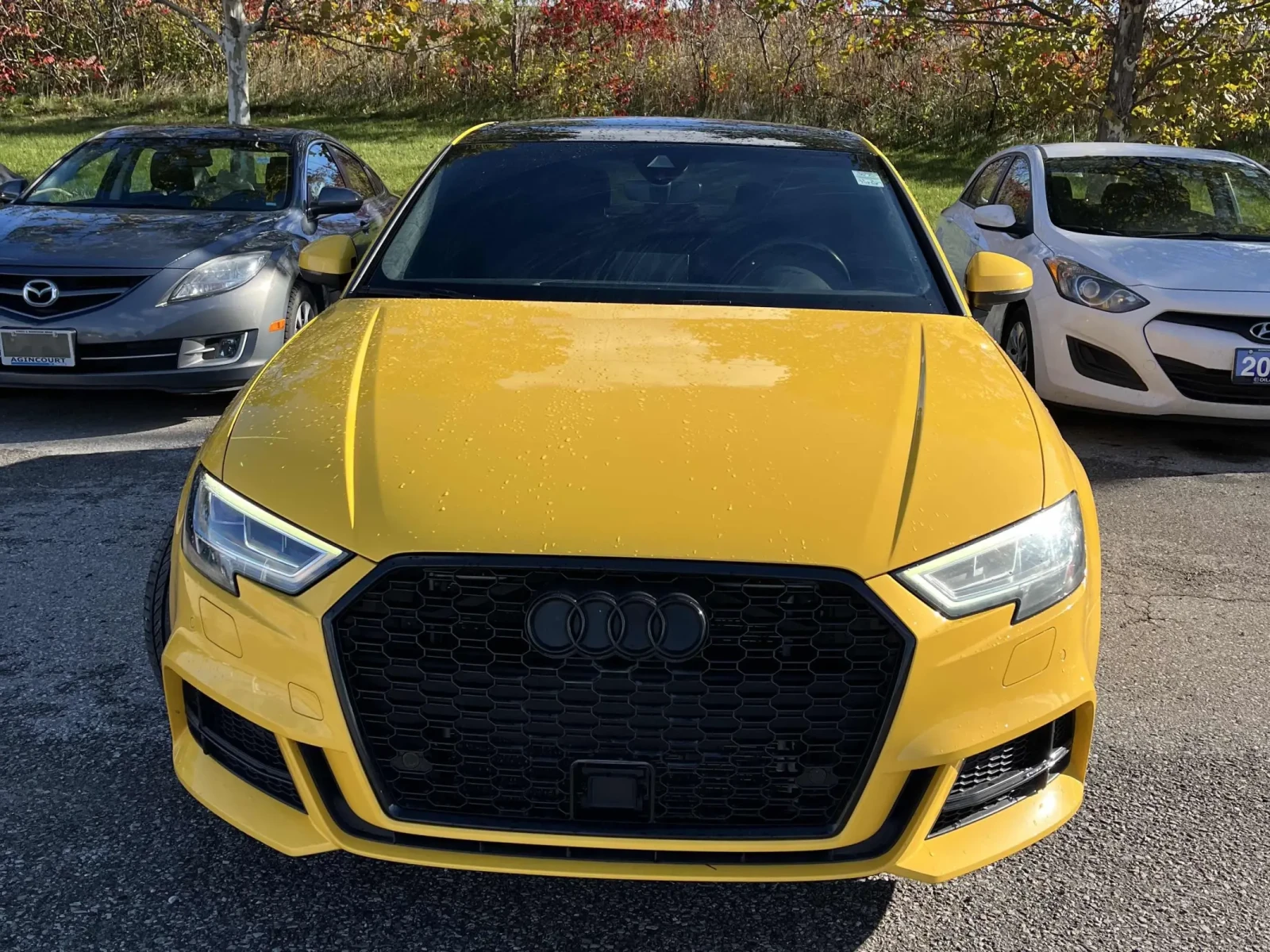 Audi S3 TECHNIK CARFAX АВТО КРЕДИТ  - изображение 3