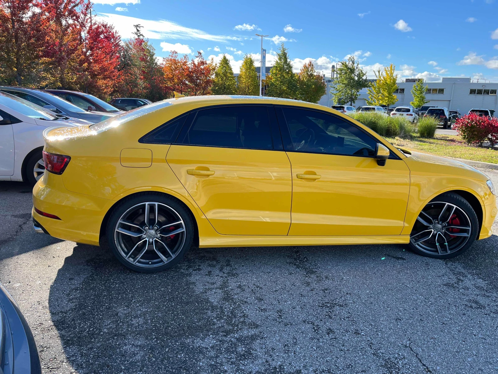 Audi S3 TECHNIK CARFAX АВТО КРЕДИТ  - изображение 5