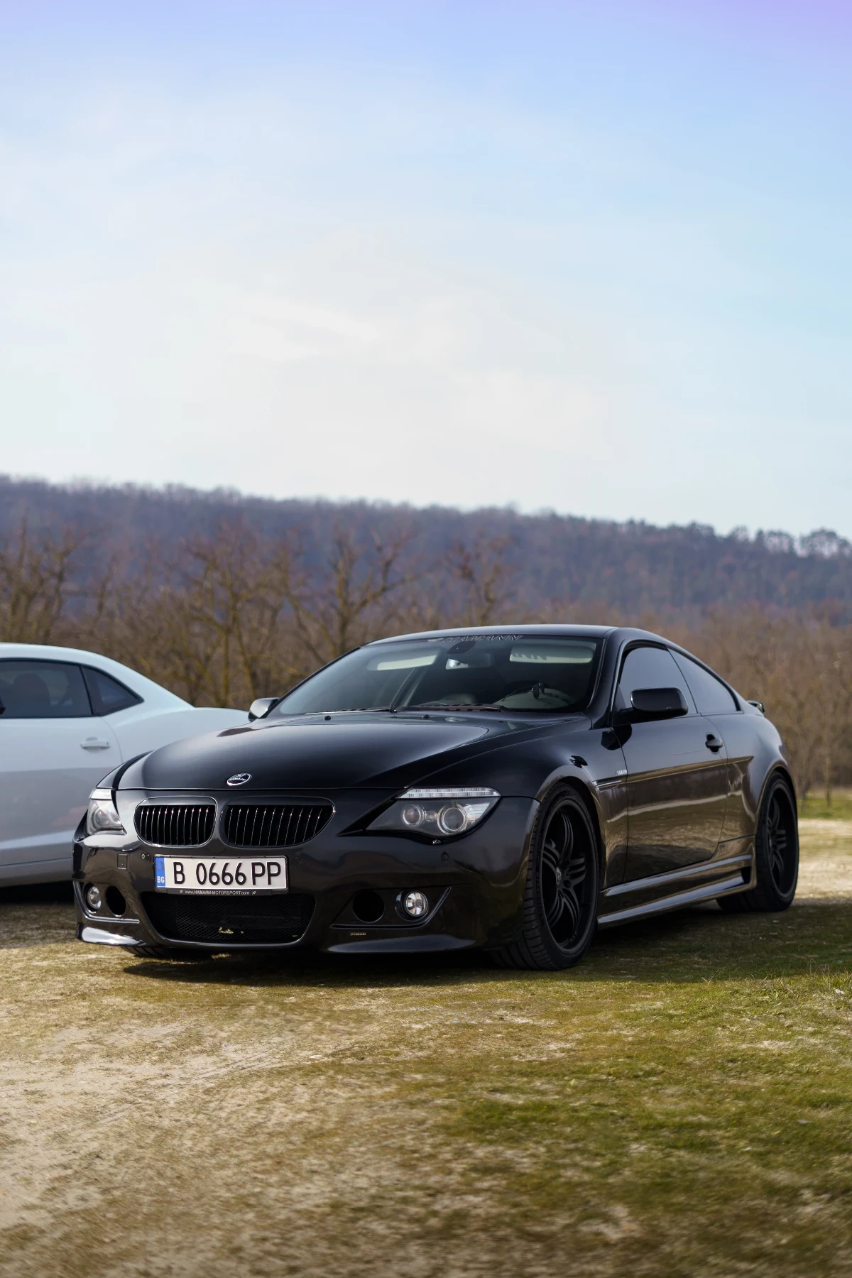BMW 645 HAMANN , снимка 3 - Автомобили и джипове - 54374049