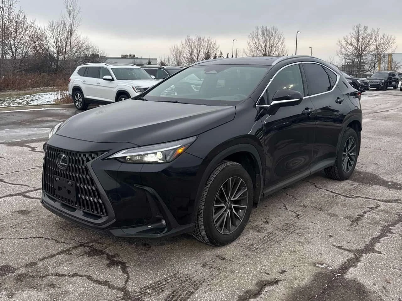 Lexus NX 350  CARFAX
