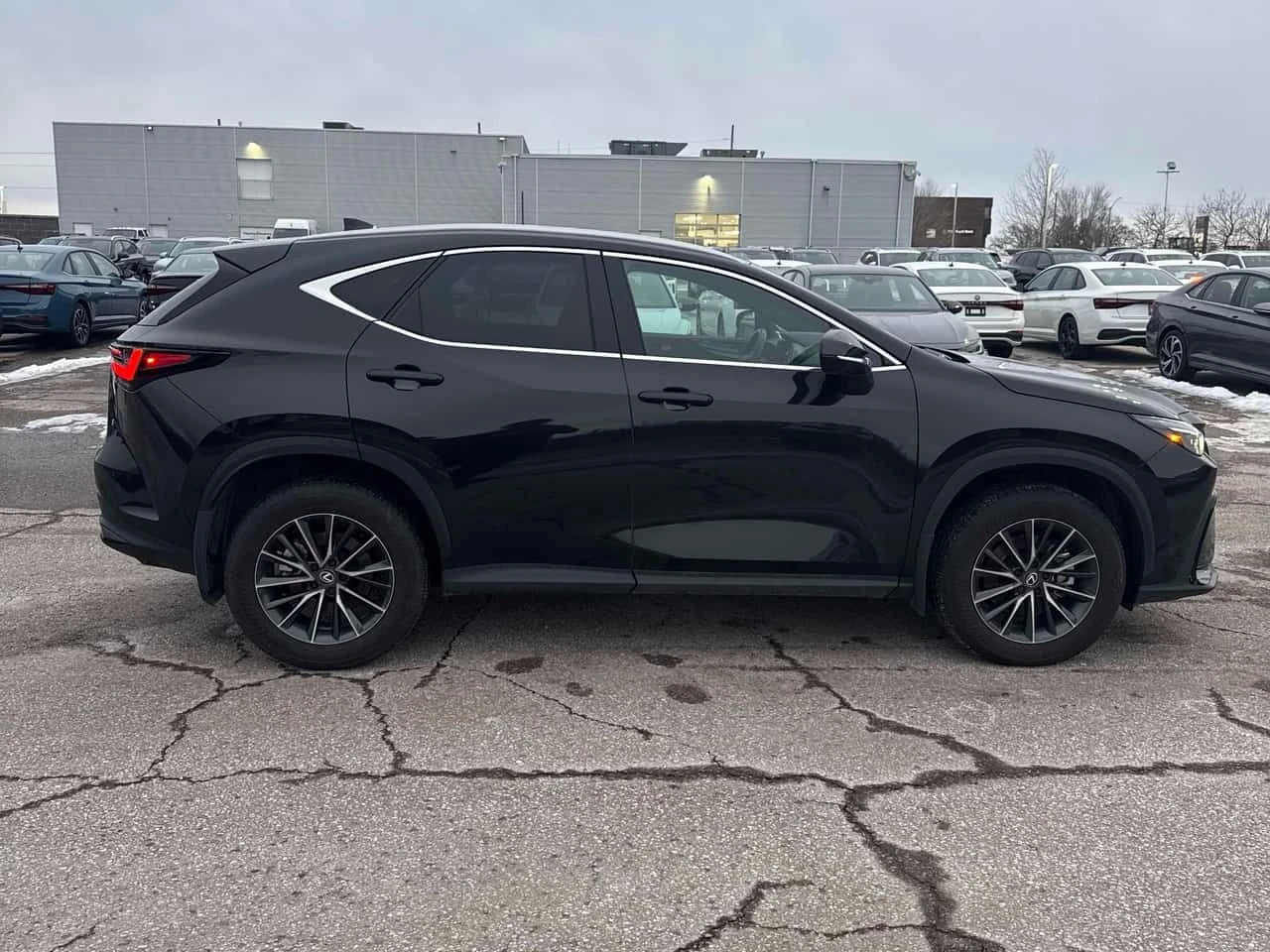 Lexus NX 350  CARFAX, снимка 3 - Автомобили и джипове - 53766929
