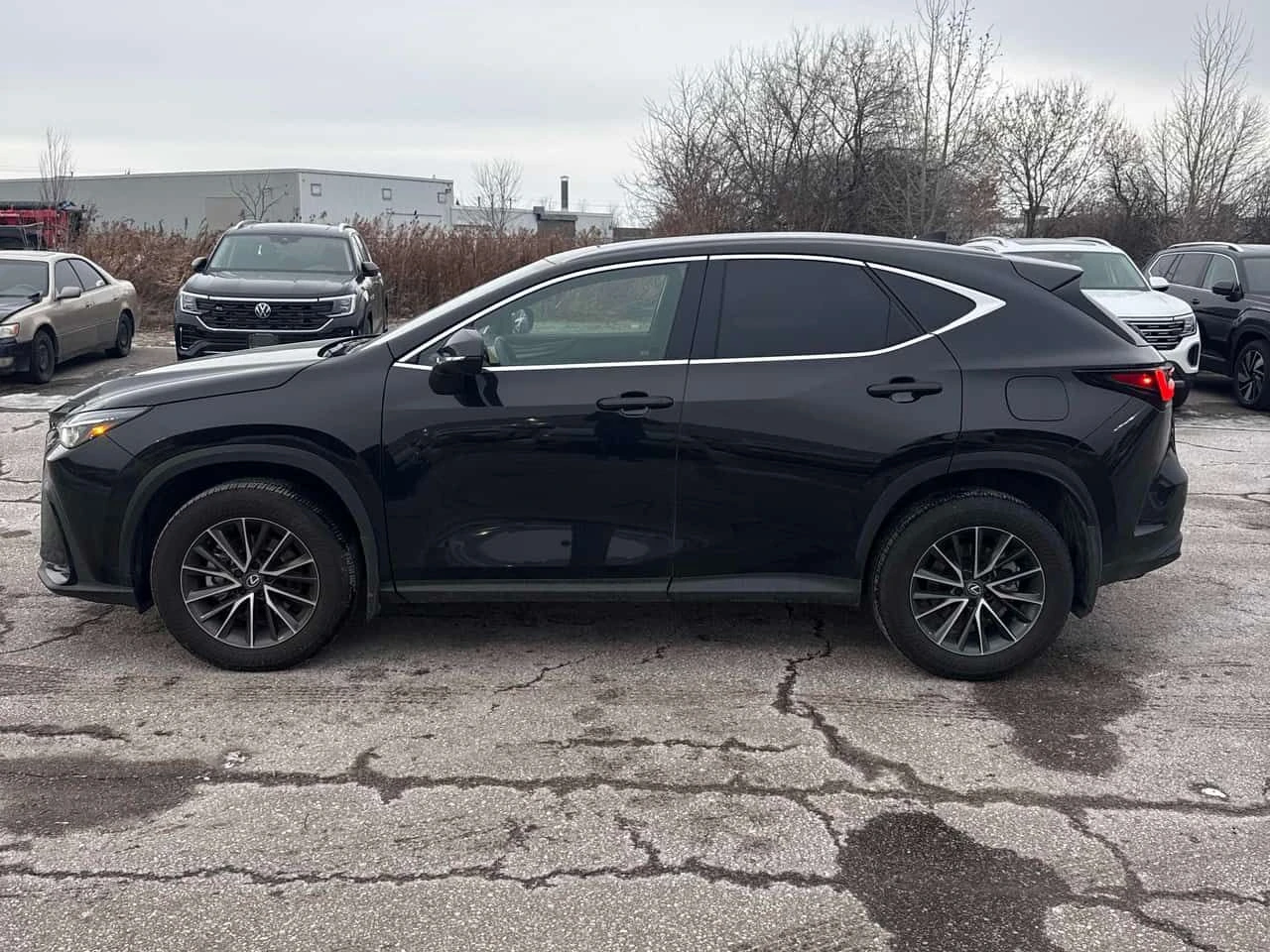 Lexus NX 350  CARFAX, снимка 2 - Автомобили и джипове - 53766929