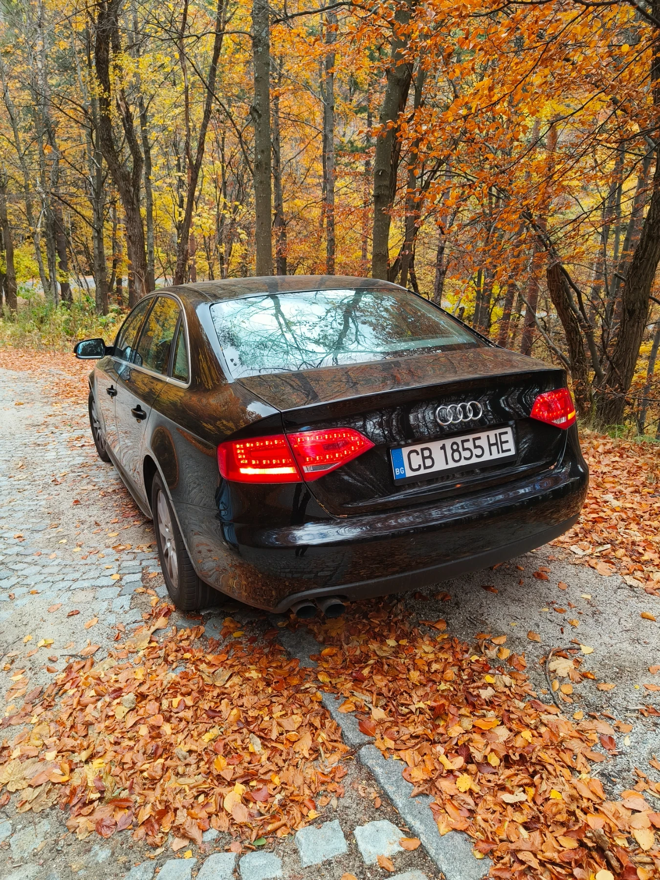 Audi A4 TFSI - изображение 5