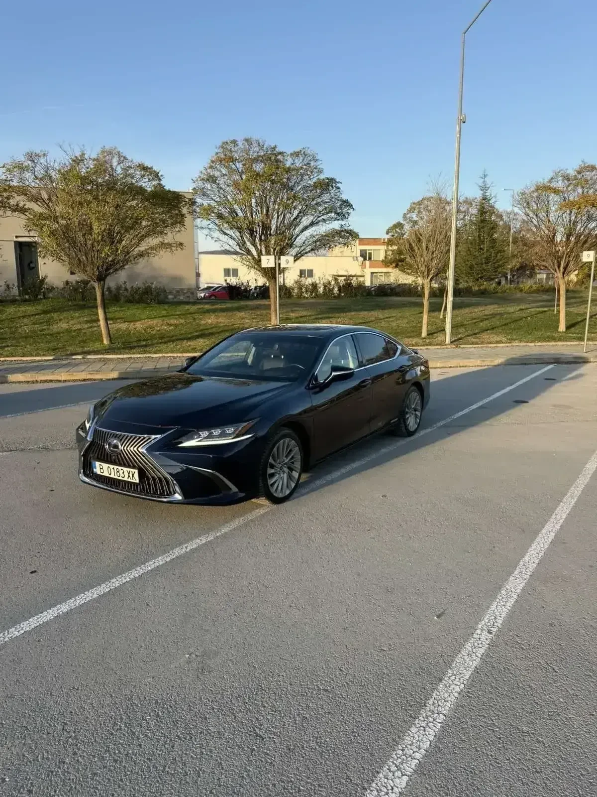 Lexus ES 300 Business Premium Luxury  | Mobile.bg   2