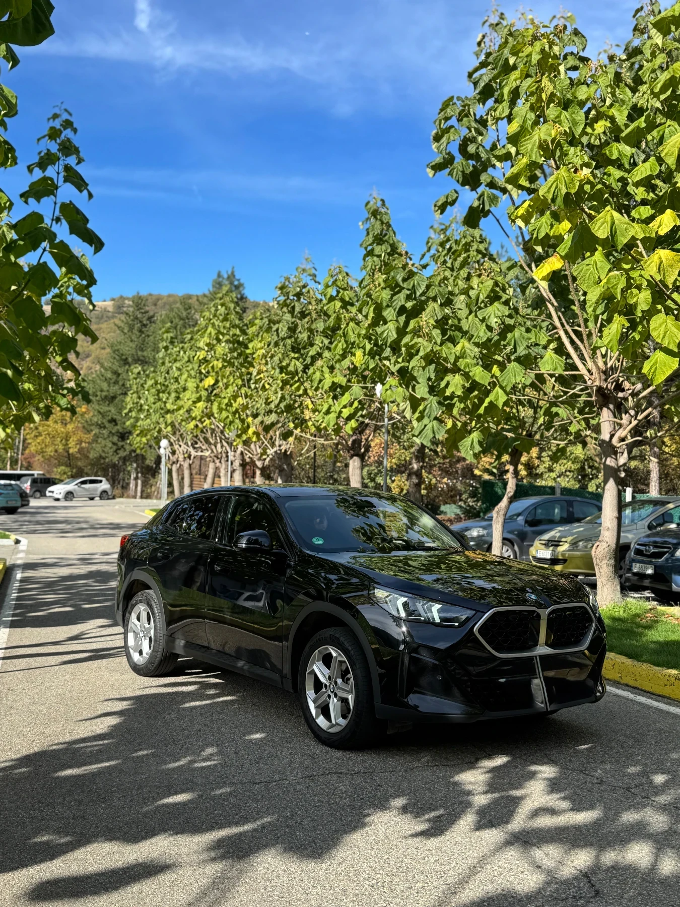 BMW X2 1.8D Sdrive - изображение 2