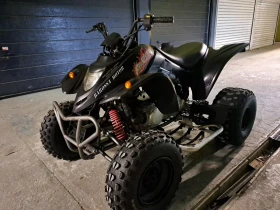 Honda FourTrax 300 кубика 