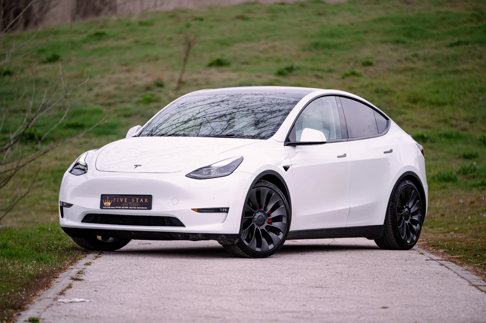 Tesla Model Y Performance 