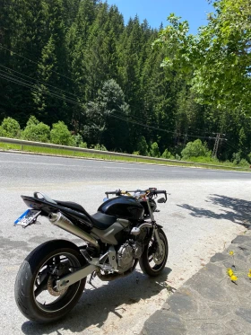     Honda Hornet 600 A2