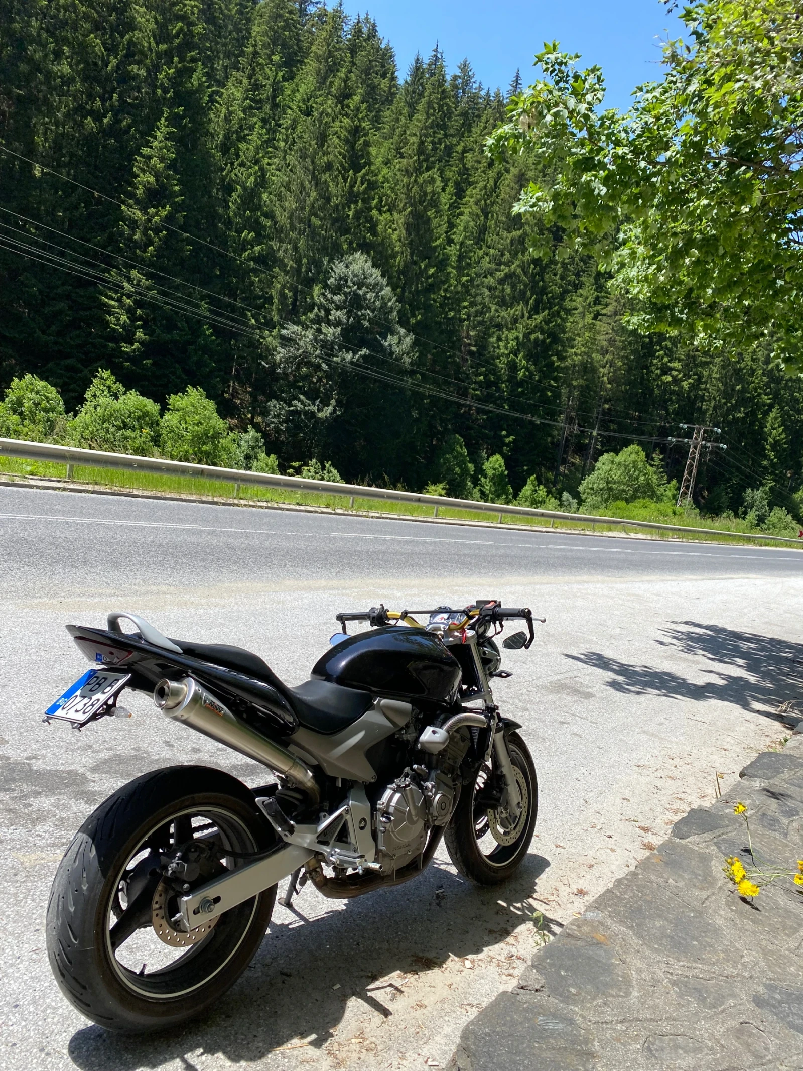 Honda Hornet 600 A2, снимка 1