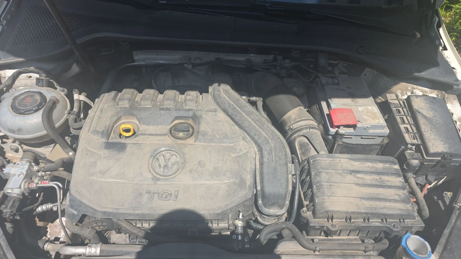 VW Golf
