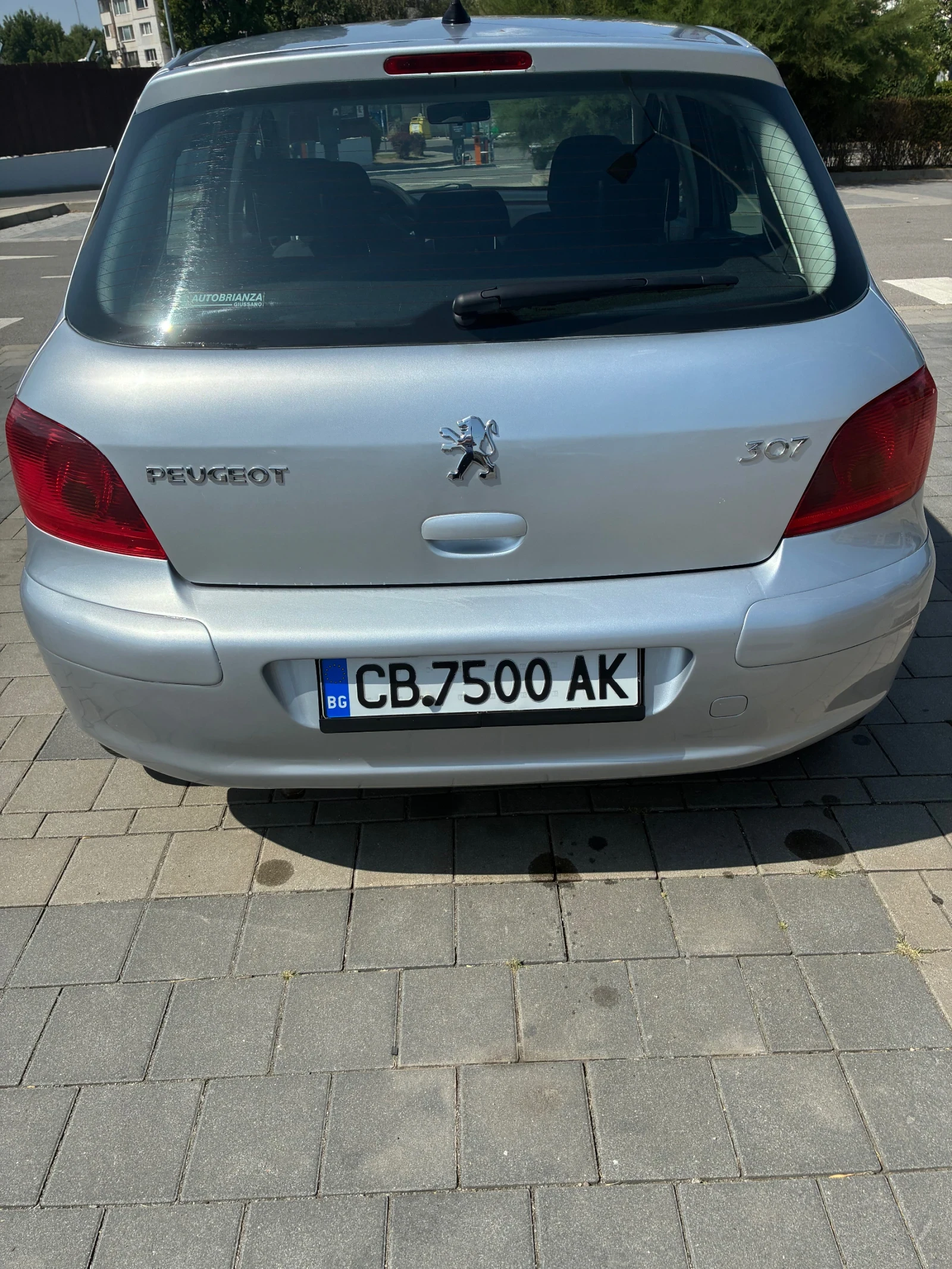 Peugeot 307, снимка 2 - Автомобили и джипове - 55900060