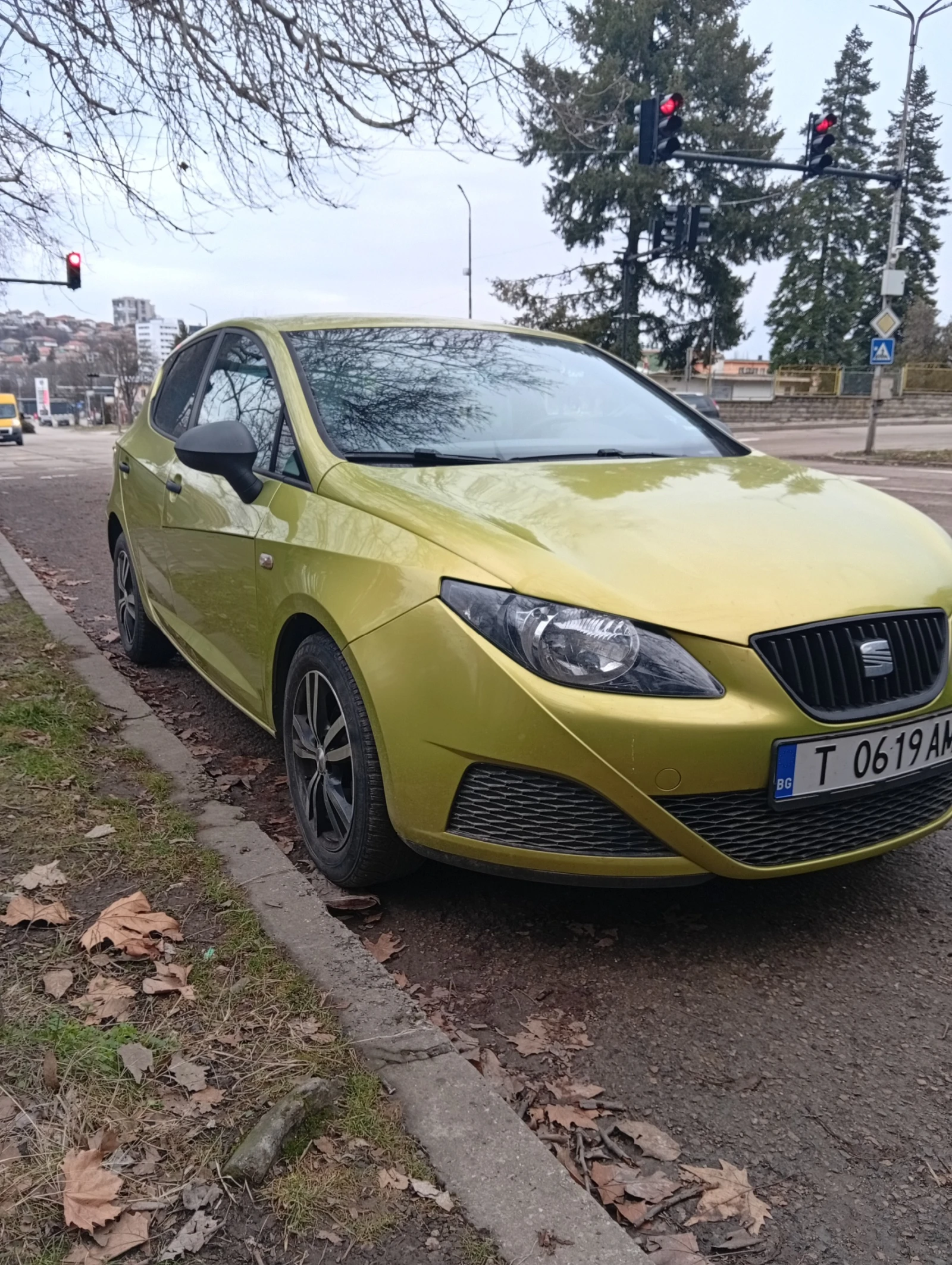 Seat Ibiza, снимка 1