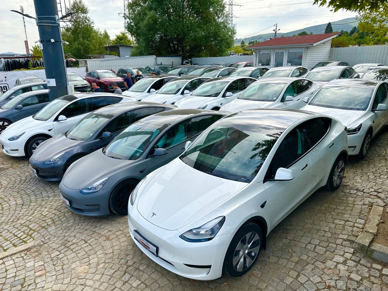 Tesla Model Y 5��/Rear-wheel drive, long range ��� Performanc� | Mobile.bg � ����������� 12