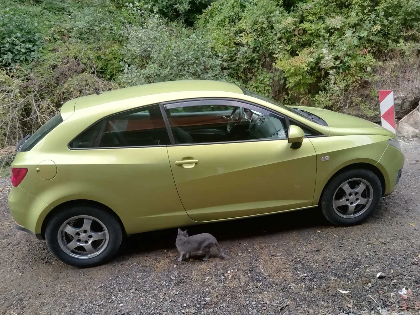 Seat Ibiza  - изображение 4