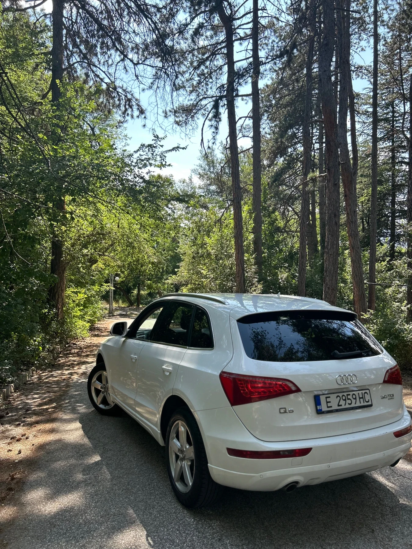 Audi Q5 3.0TDI - изображение 5