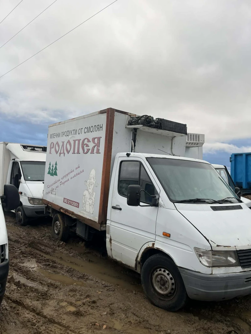 Mercedes-Benz 312 2.9D, снимка 2 - Бусове и автобуси - 53032146