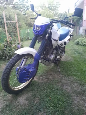Honda Nx 