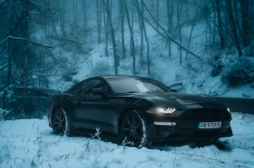Ford Mustang EcoBoost 55Y, снимка 1