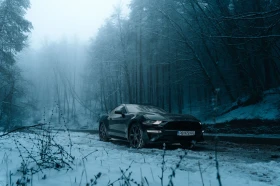 Ford Mustang EcoBoost 55Y, снимка 2 - Автомобили и джипове - 53433640