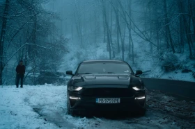 Ford Mustang EcoBoost 55Y