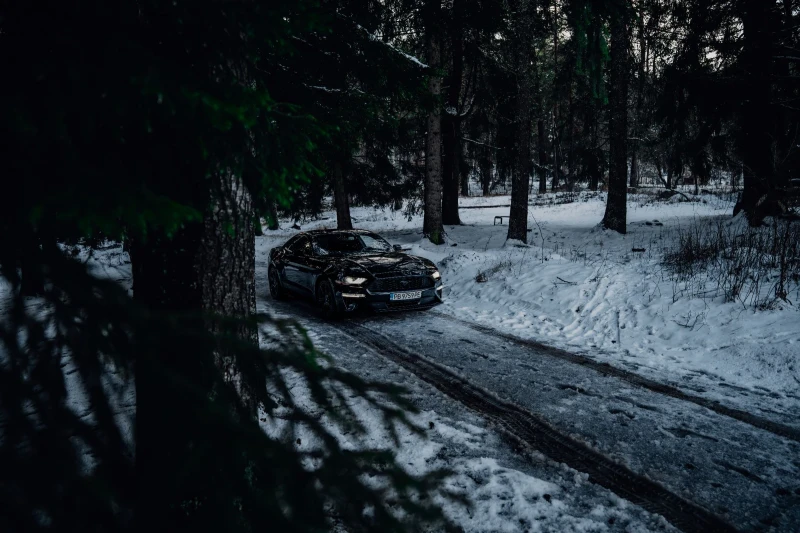 Ford Mustang EcoBoost 55Y, снимка 12 - Автомобили и джипове - 53433640