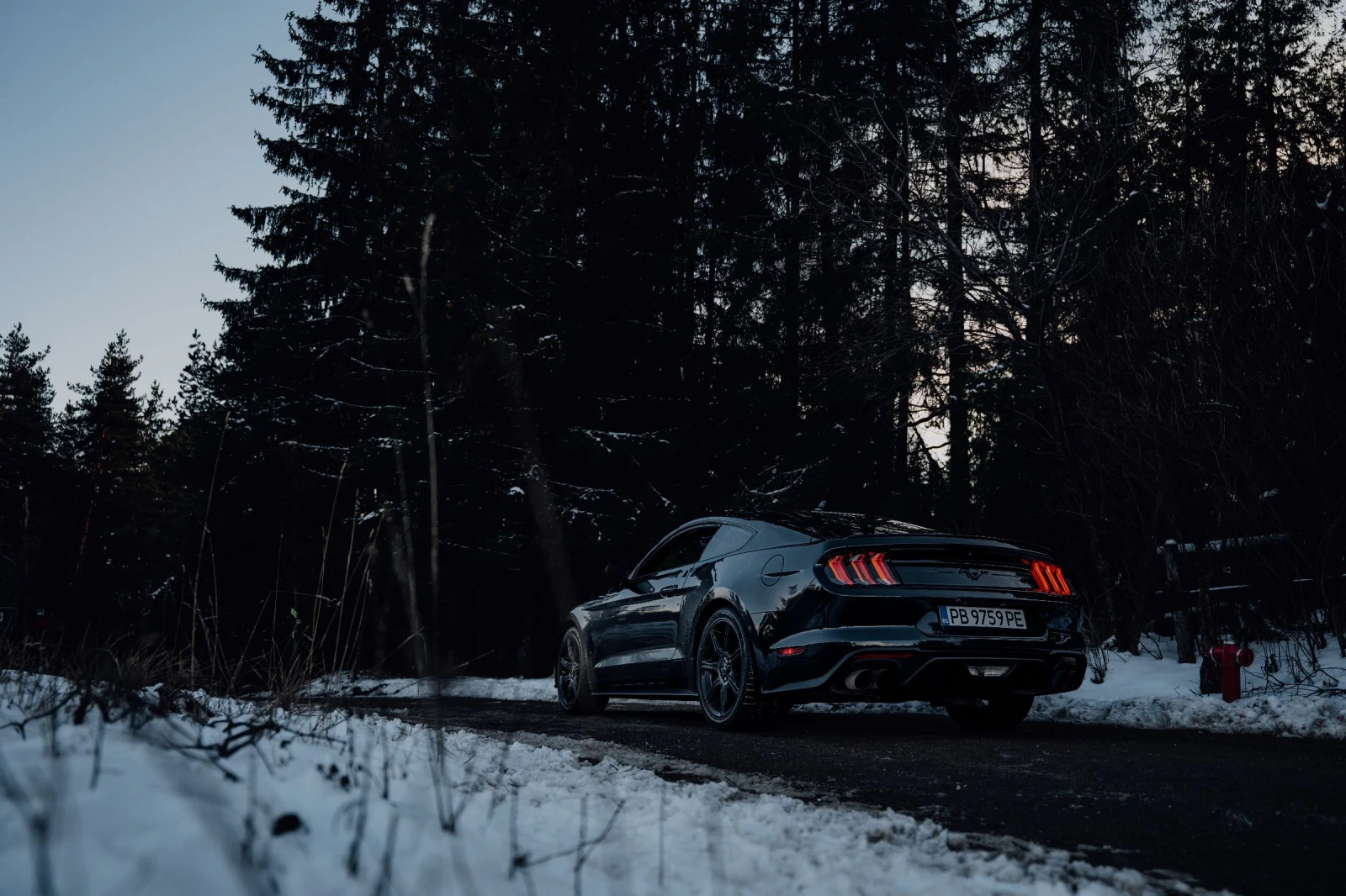 Ford Mustang EcoBoost 55Y | Mobile.bg � ����������� 14